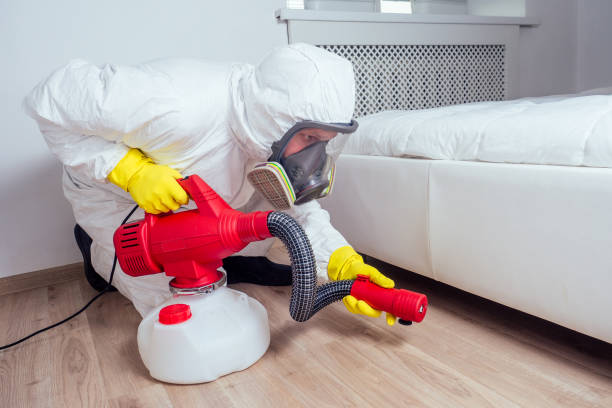Best Rat Extermination Near Me  in Rosedale, LA