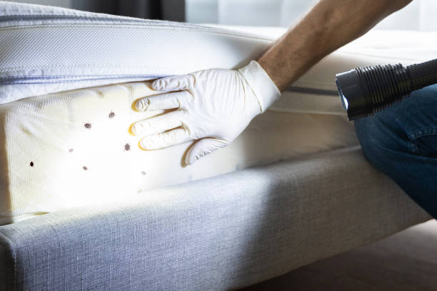 Best Pest Control for Businesses  in Rosedale, LA