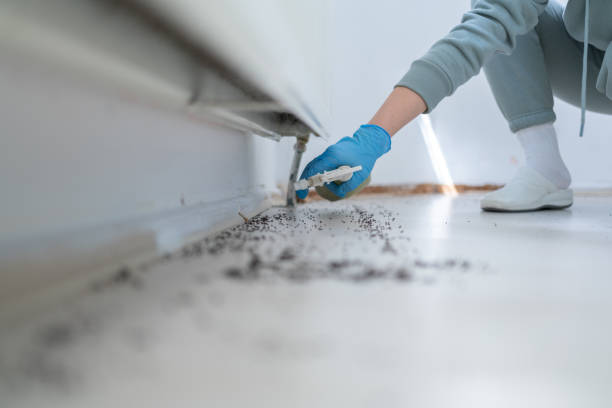 Best Pest Removal Services  in Rosedale, LA